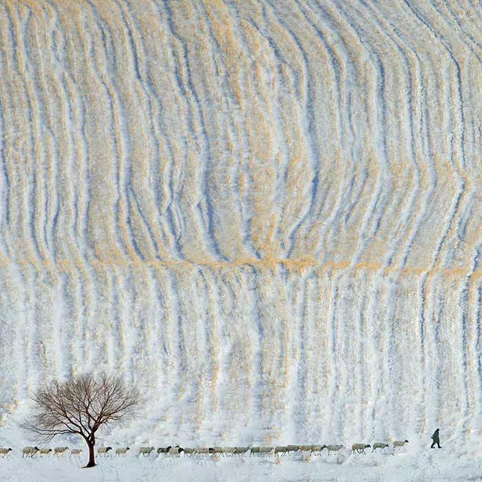 2018年全球华人摄影十杰,中国第18届国际摄影展入围作品