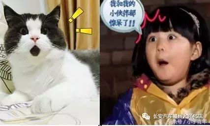 一大波优惠活动,元宵节购车攻略