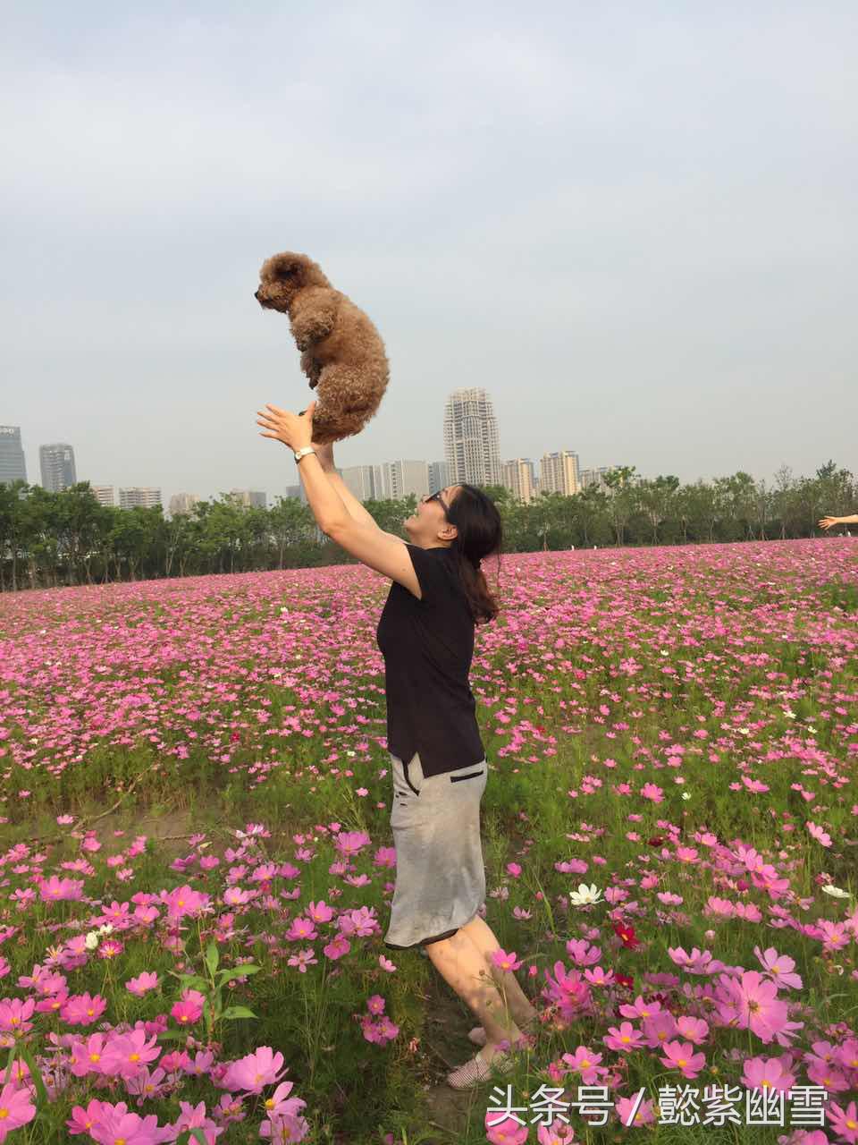 我的巧克力在哪里用英语怎么说,我的巧克力原版