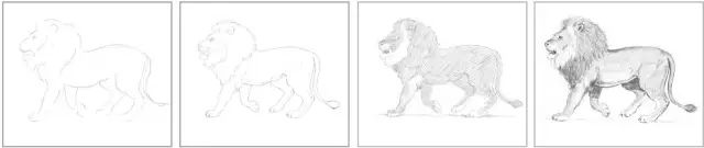 国画素描教程零基础入门,零基础学素描初学者入门教学