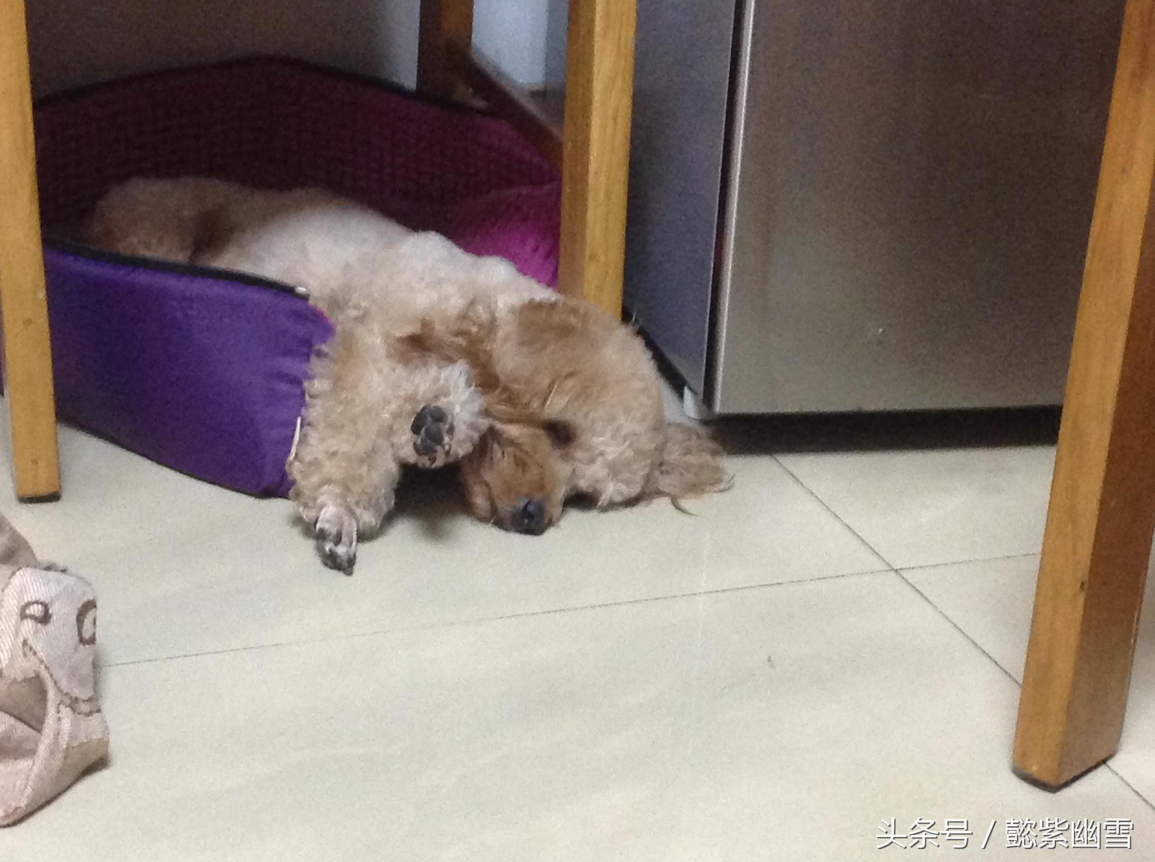 我的巧克力在哪里用英语怎么说,我的巧克力原版