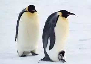 广东人会说不会写的315个粤语字,90%老广都不会写的粤语生僻字