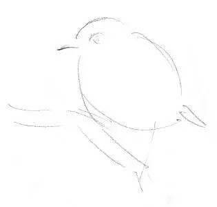 国画素描教程零基础入门,零基础学素描初学者入门教学