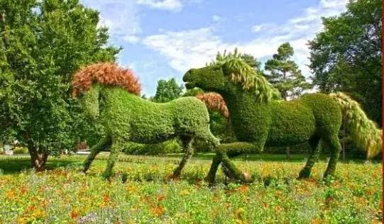 11月4，有群的都看看，太美了，这一辈子见一次值了！