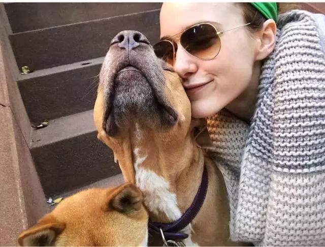 了不起的麦瑟尔夫人哪里能看,了不起的麦瑟尔夫人复古风