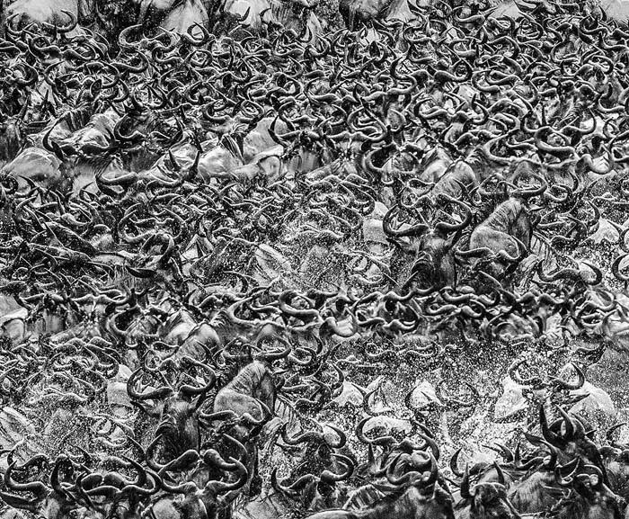 2018年全球华人摄影十杰,中国第18届国际摄影展入围作品