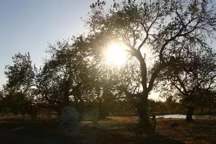 北京这38个森林公园您都去吗？先收藏了，有空咱们玩个遍！