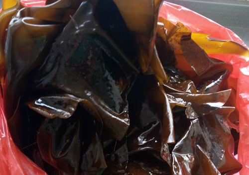 新鲜海带怎么处理不变色,新鲜海带怎么处理好吃