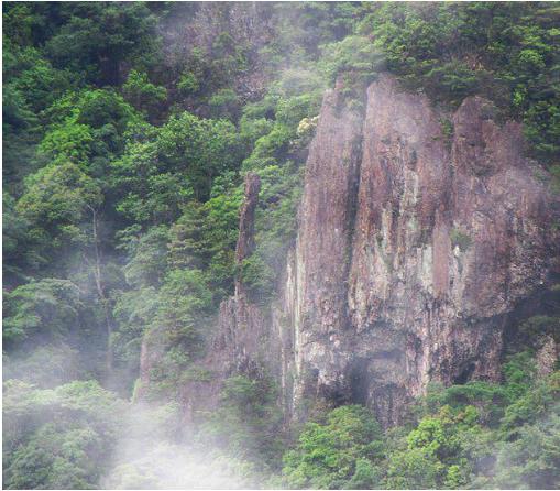 安居乐业，永享晚年的首选——五华