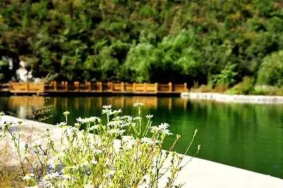 北京各区16处免费森林公园,北京最新40个公园