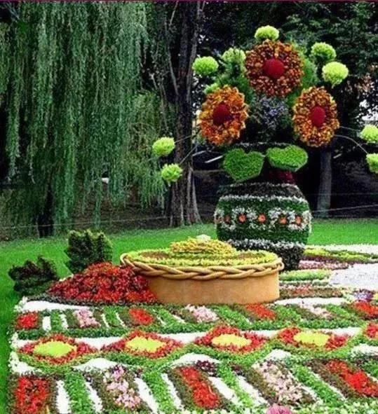 11月4,有群的都看看,太美了,这一辈子见一次值了!