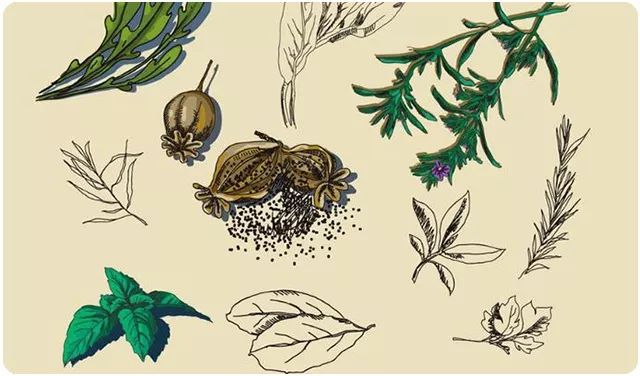 中国对外宣传疗效好的十三种中药,中药在外国有多火