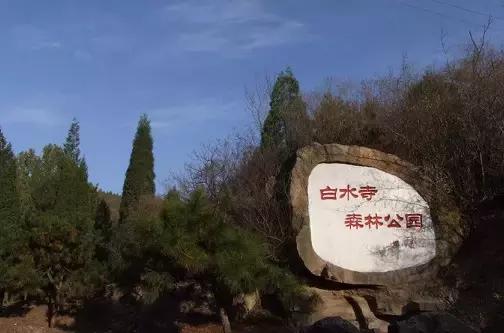 北京各区16处免费森林公园,森林公园北京有几个