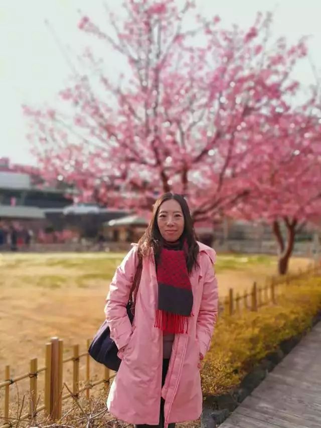 鏃ユ湰浜兘椋庢櫙宸濈搴锋垚,鏃ユ湰宸濈搴锋垚鍒濈鍥涙櫙