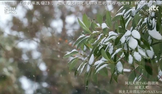 真正的孝利家民宿,慢节奏治愈风民宿