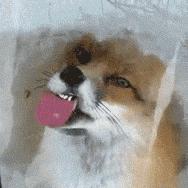 便宜到飞起的开架彩妆！谁跟我先批发一车回来？