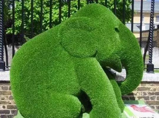 刚出的群主相册,有群的都看看,太美了,这一辈子见一次值了!