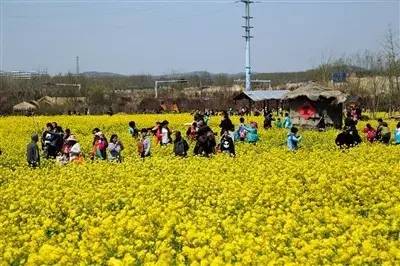 青岛黄岛最清澈最好玩的海边,青岛和黄岛哪个更适合旅游
