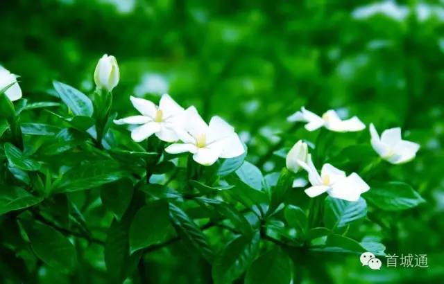 相约南溪古城夜景,相约南溪