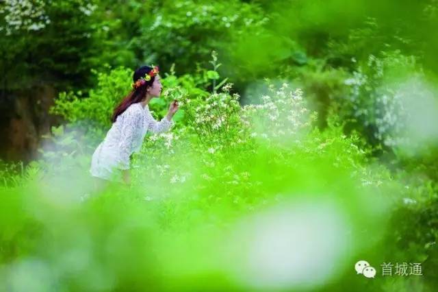 相约南溪古城夜景,相约南溪