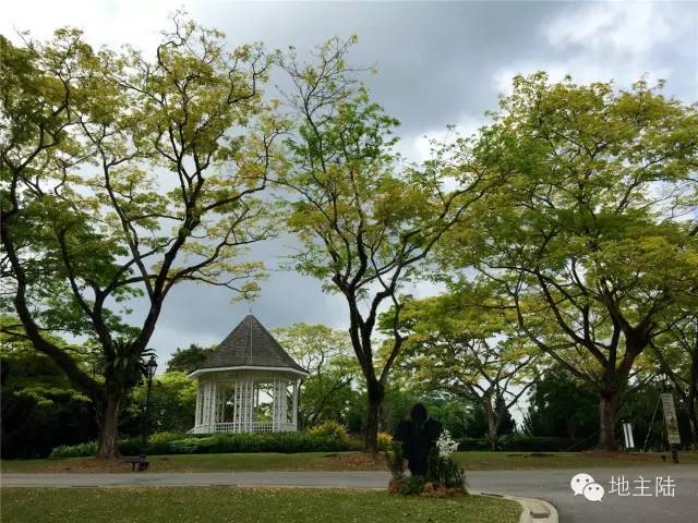 新加坡最好吃的店,去新加坡必买的吃的