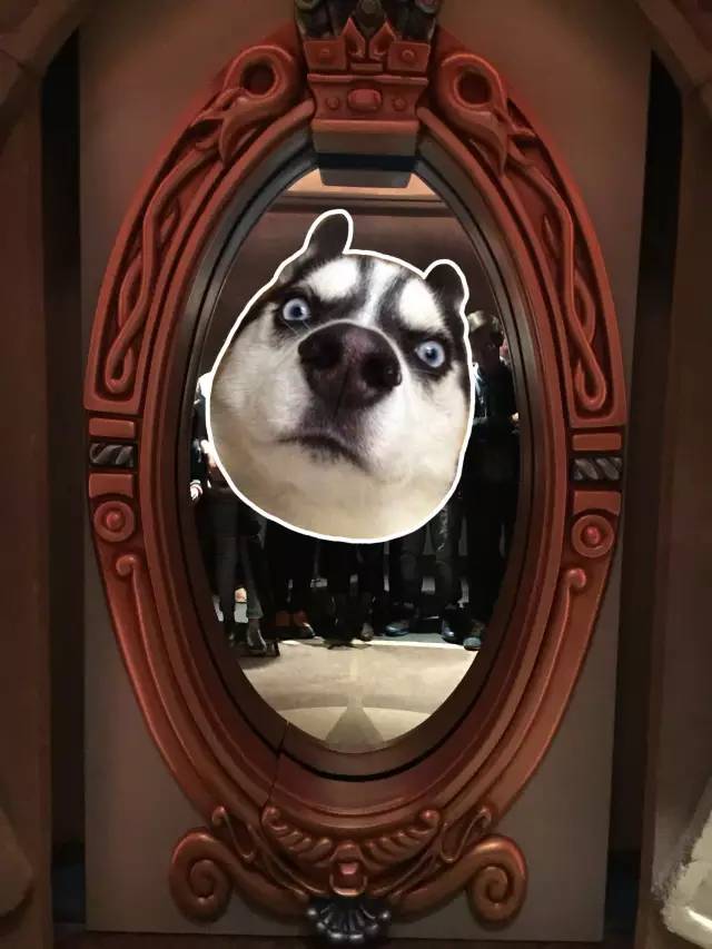 跟着朵拉去探险英文,迪士尼上海儿童游玩攻略