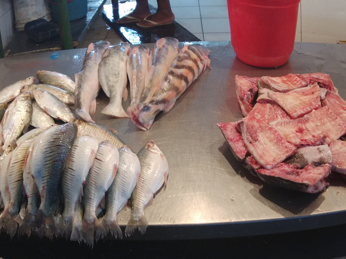 去巴西阿根廷秘鲁智利四国游,巴西阿根廷智利秘鲁地图