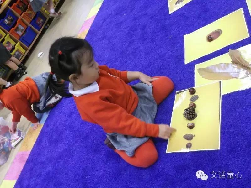 海外幼儿园中文课,我眼中的语文课程