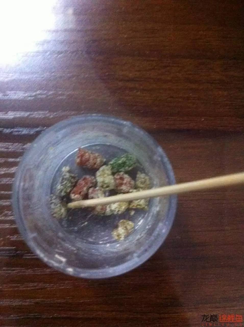锦鲤烂嘴烂尾用什么药,锦鲤烂嘴可以用高锰酸钾