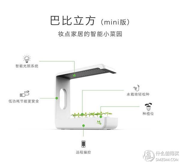 我的秘密菜园,我的秘密小菜地