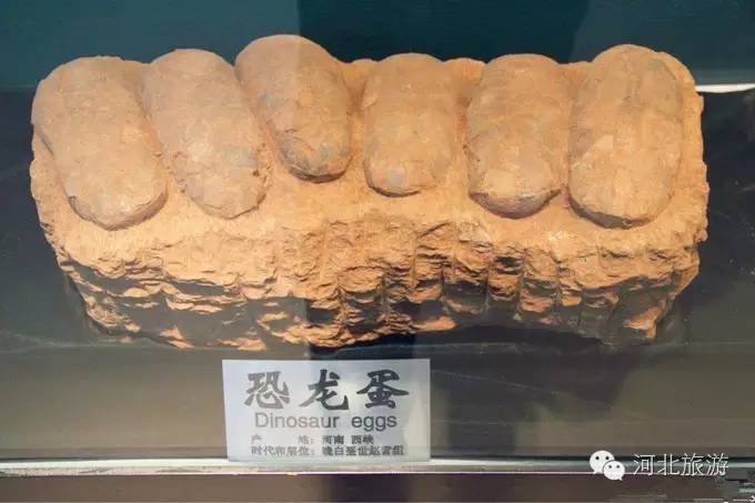 六一儿童节去哪里带孩子,六一去哪里带小朋友玩