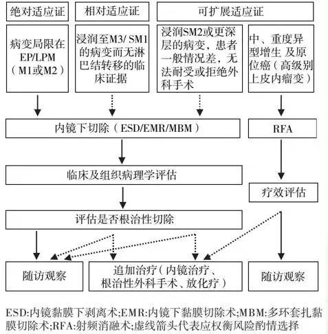 早期食管癌用内镜可以根除吗,超声内镜可以查出早期食管癌吗