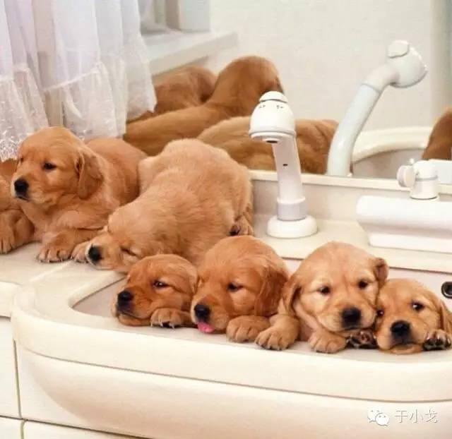 轻易离开你的朋友不值得深交,别怕一定会有不舍得丢下你的人