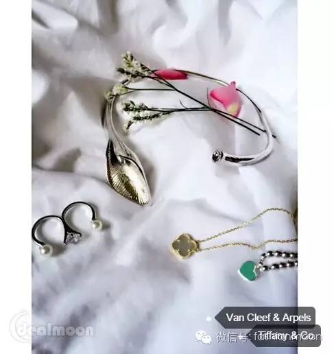 大家为什么喜欢梵克雅宝的四叶草,梵克雅宝luckyspring与四叶草谁保值