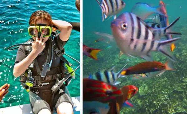 夏天一定要去一次沙巴吗,什么时候去沙巴旅游最适宜