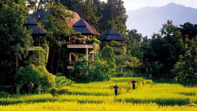 1月深圳飞哪里机票便宜,深圳飞国际机票低至300元起