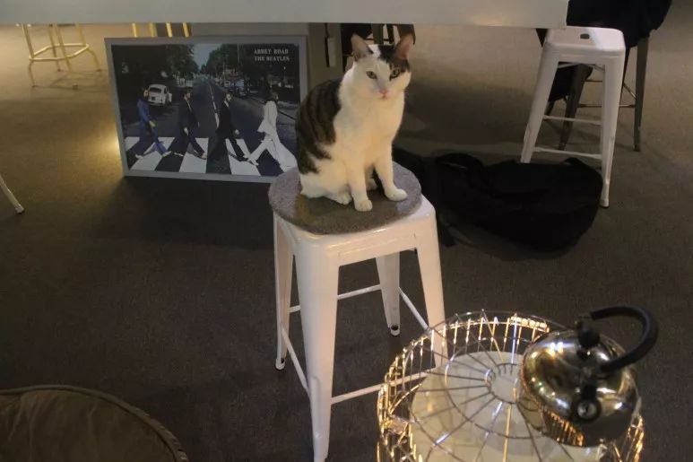 就连文艺女青年也找不到的史诗级咖啡店，因为它们真的藏在角落里