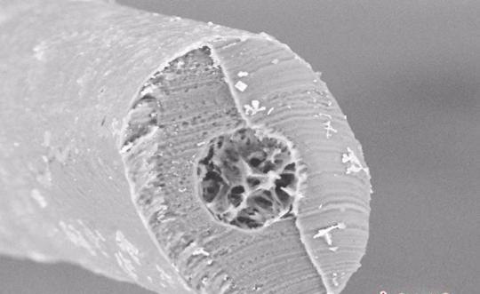 神奇！浙大教授造“北极熊”马甲，成功从红外线成像设备中隐身