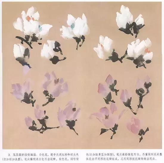 国画小写意玉兰花作品,国画玉兰花谁画的最好
