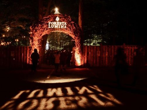 加拿大奇幻森林,加拿大魔法森林风景