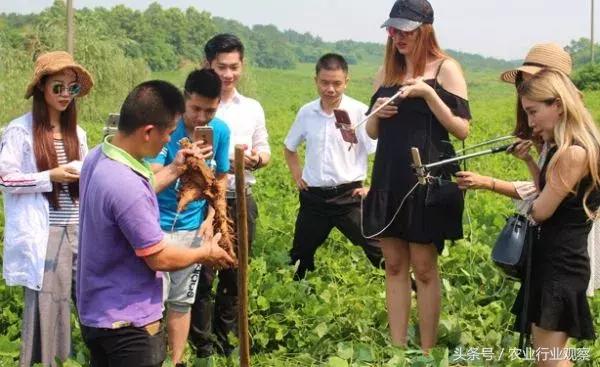 农产品直播技巧和策略,直播卖农产品实用的5个技巧