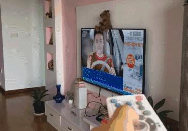 卫星锅机顶盒接收不到信号怎么办,广电机顶盒接收不到信号怎么回事