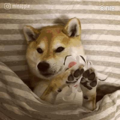 日本的补水面膜什么牌子最好用,日本哪个牌子的面膜保湿效果好用