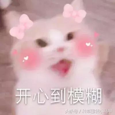 kiko倒闭了吗,kiko破产事件