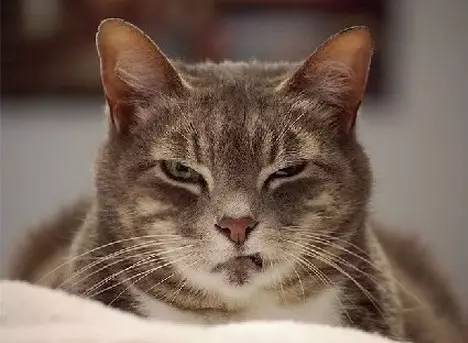 安庆人注意：这些猴年马月的事，马上就要来了