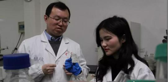 神奇！浙大教授造“北极熊”马甲，成功从红外线成像设备中隐身