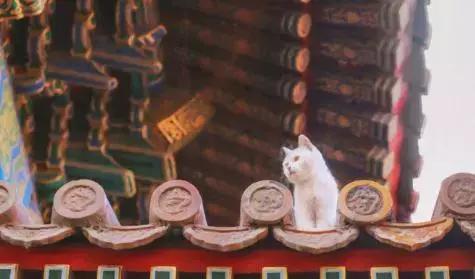 鏁呭18鍙尗,鏁呭鍚哥尗181鍙尗