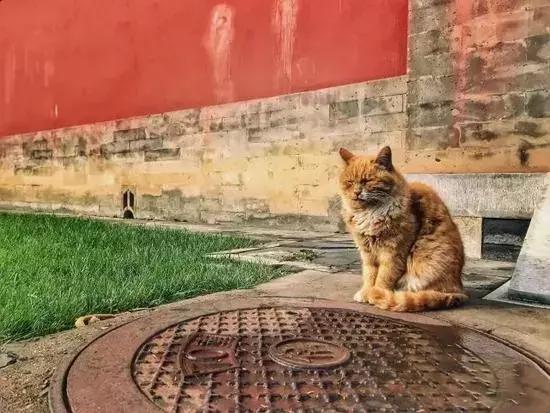 鏁呭18鍙尗,鏁呭鍚哥尗181鍙尗