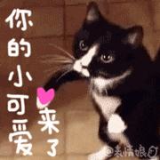 很好看不是很贵的包包推荐,包包推荐小众高级感贵点的