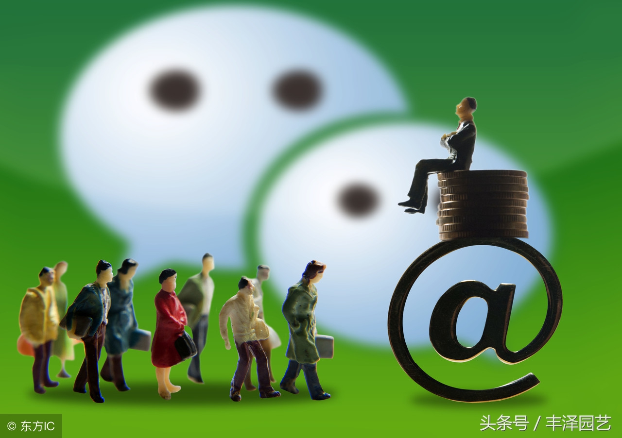 营销做不好新店没生意,苗圃怎么营销最快